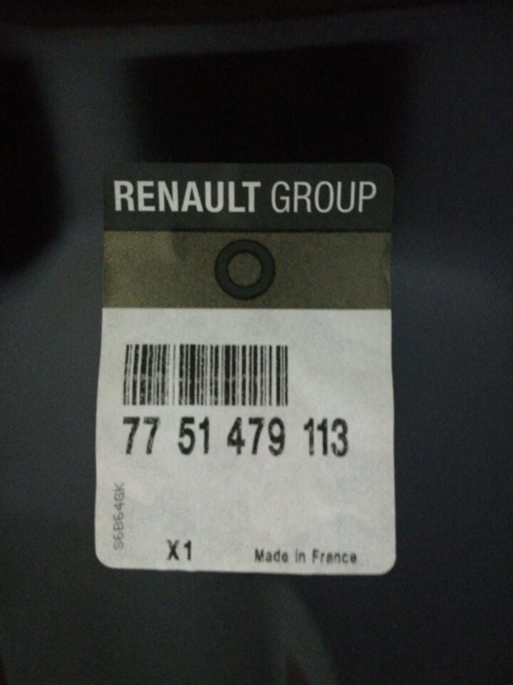 CLIO 3 Wagon 7751479113 Ön Sağ Kapı